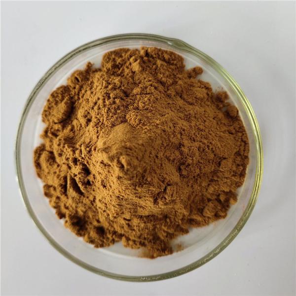 Honeylocust Thorns Extract For Rehabilitation