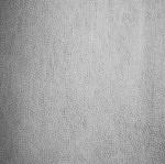 Nonwoven Fusible Interlining Weight 17-100gsm Polyester/Nylon for Satin Fabric