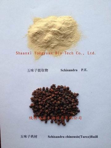 Schisandra Extract 2% ,5%, 9%Schisandrins, anti aging, Protect liver,CAS.: 7432