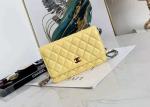 Inclined Shoulder Cowhide 19cm Luxury Brand Wallet With Chain