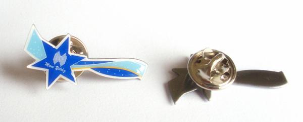 Metal pin, lapel pin, football pin, emblem, enamel badge, printing badge,