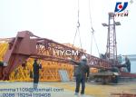 12tons Load Derrick Crane QD2025 66ft Jib Length SINEE VFD Inverter