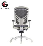 Online Ergo Task Office Chairs 5D Arms Height Adjustable Ergonomic