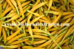 Daylily Extract natural NATURAL HERBAL ingredients Hemerocallia Fulva extract