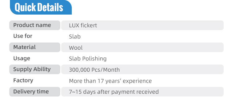 Diamond Tools Stone Abrasive LUX 0 Fickert for Granite Slab Final Polishing Advantage