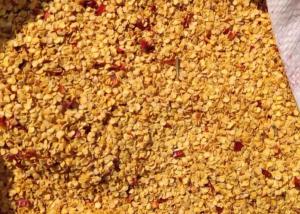 China Granule Dried Chilli Seeds 10PPB 15000SHU Spicy Pepper Seeds HACCP on sale
