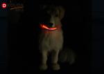 Nylon Night Safety Pet Flashing LED Flashing Dog Collar , Size S / M / L Easy