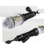 Bentley Continental Front Volkswagen Struts 3W0616039D 3W0616040D