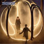 Decorative Lighting Show Stainless Steel Outdoor Sculpture Hollow Pattern Ball