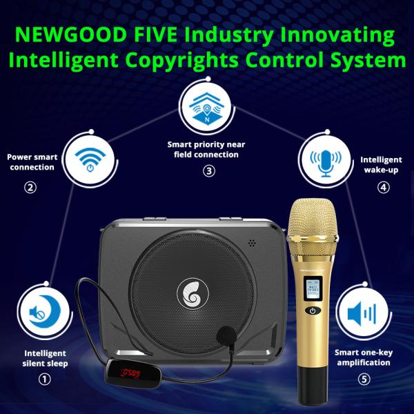 Intelligent sleep wake up voice sound system LCD screen Handheld & Headset