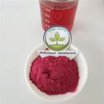 black currant juice powder buy best health benefits supplement products drink