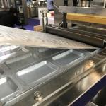 Pharmaceutical Alu Plastic Alu Tropical Blister Packing Equipment Multi -