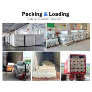 Customized Mattress Pocket Spring Unit Rolled Individual Pocket Spring