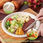 100% Compostable 10 Inch Paper Plates, Heavy Duty Paper Plates, Disposable