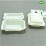 7x5 Inch Biodegradable Bioplastic Hinged food boxes,natural plants eco-friendly
