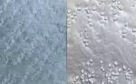 Birdseye Maple Veneer Dyed Veneer Length 200cm To 360cm