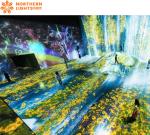 Interactive Experience Naked Eye Virtual 3d Indoor Immersive Exhibition