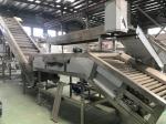 automatic Mango Processing Line For Jam Production SUS304