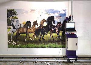 China DX5 DX7 DX800 Head 0.5CM 20ML/㎡ Wall painting Machine for outdoor and indoor wall usage factory