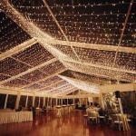 Waterproof Hanging Decorative LED String Lights Outdoor Use Warm White 50M