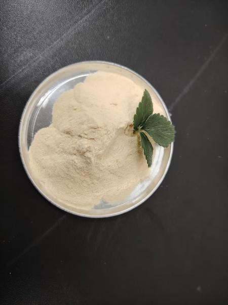 Bone Peptone Protein Hydrolysate – High-Nitrogen Organic Fertilizer & Animal