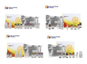 China NMDAR1 Human Sandwich Immunosorbent Assay Kit With Strong Sensitivity factory