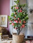 Red Party Park Decoration Artificial Apple Tree 190cm Height