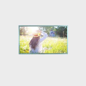 China 27 Inch LCD Display High Brightness 1920*1080 LVDS 700 Nits Display factory