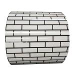 Container Steel in JIS Standard Color Coated Steel Coil Sheet with Red Blue RAL