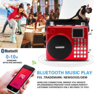 China Newgood 20W Bluetooth Outdoor Music Player with Voice recording and Handle factory