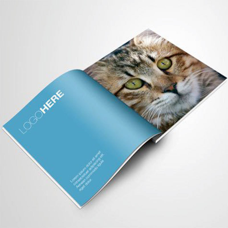 China Manga Custom Coloring Book Printing Services Children's Books Print on Demand Brochure factory