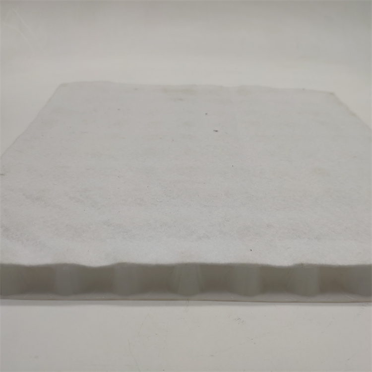 Product Feature Ecofriendly 3D Composite Geonet for Landfill Roadbed Slope Protection