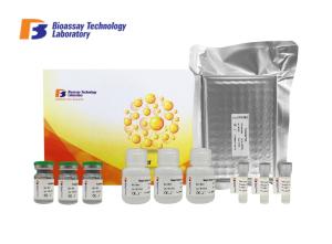 China Rat Bridging Integrator 1 ELISA Assay Kit High Sensitivity With Oem Service factory
