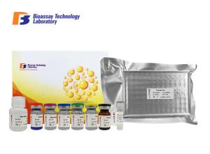China Human Immunosorbent Sandwich Assay Kit 96 Wells AGBL3 With High Specificity factory