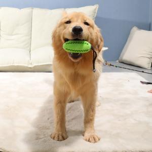 China Bite Resistant Dog Slow Feeder Ball Molar Stick With Thorn TPR Food Leakage Device factory