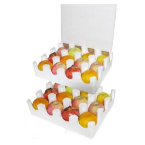 Customized Profiled EPS Foam Shock Absorbing Fruit Tray Fragile Protective