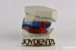 Flexible Transparent Dental Snore Guard / Custom Anti Snoring Mouthpiece For