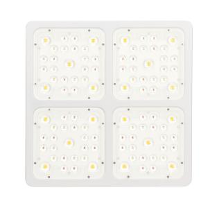 China Medicinal Plants 520μmol/s Hydroponic COB led lamp C400 400W factory