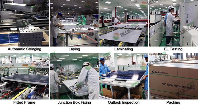 Bluesun Solar Modules and Panels Stock Solar Panel 270W 280w 290w for Home Kits 5BB 60cells ETL TUV Certificates