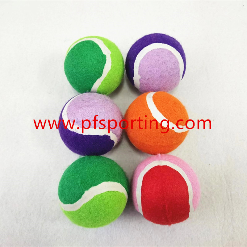Pet Supplies Outdoor Interactive Puppy Thrower Ball Toy Throwing Ball for Dogs Teething Training