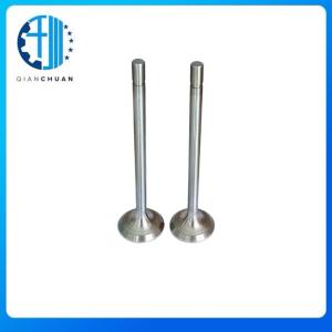 China Exhaust Valve 4432712 1944897 4688825 For CAT 3512 Excavator Engine Spare Parts factory