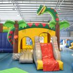 Bouncia Cartoon Inflatable Castle