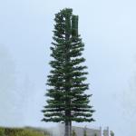 ChangTong Camouflaged Self Supporting Tv Antenna Towers