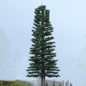 China ChangTong Camouflaged Self Supporting Tv Antenna Towers factory