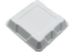9 Inch Heavy Duty Biodegradable Takeout Containers