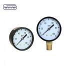 pressure gauge for swimming pool filter 2" Dial, 0-60 Psi, Bottom Mount 1/4"