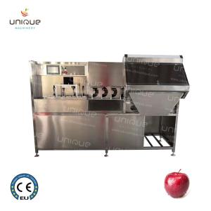 China Professional Stainless Steel 304 Electric Apple Peeler and Corer Slicer for Commercial factory