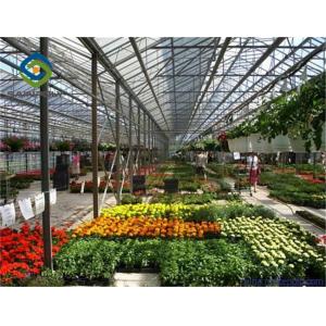 Impact Resistant 12m Polycarbonate Greenhouse For Farm