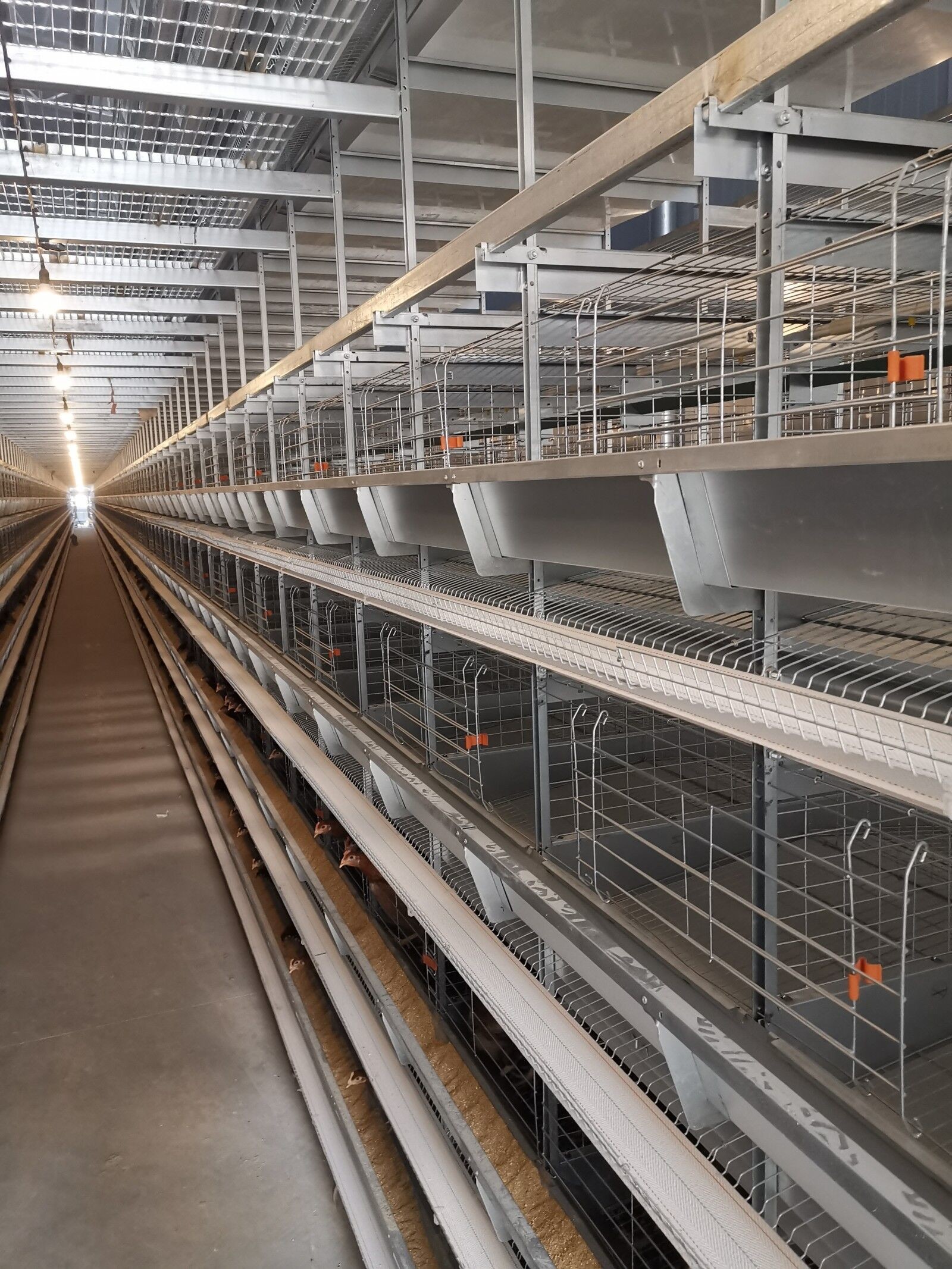 Specialized Layer Battery Cage For Poultry Farms, Housing Chickens For Laying Hen Operations.