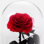 Huge rose Preserved rose in glass valentines day preserved rose gift